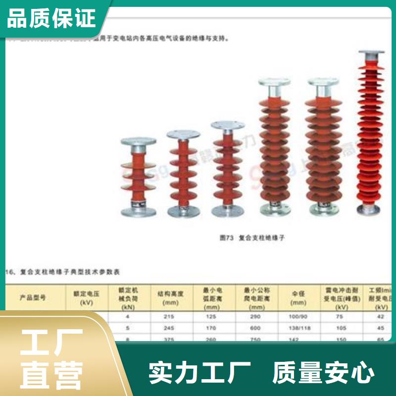 FZSW3-72.5/12.5绝缘子樊高