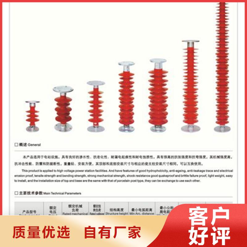 FZSW-220/10复合绝缘子樊高