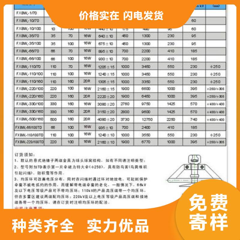 ZPB-10高压陶瓷绝缘子