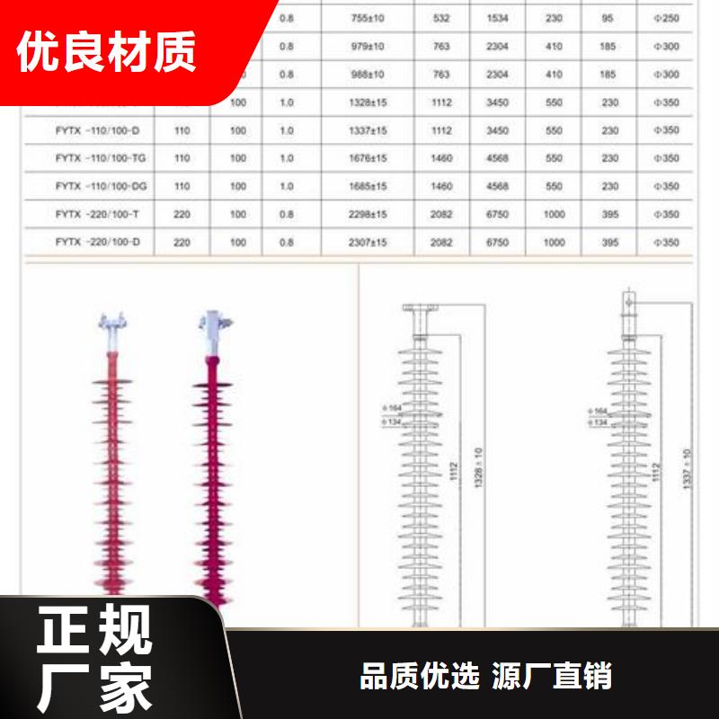 ZS-110/12.5支柱绝缘子