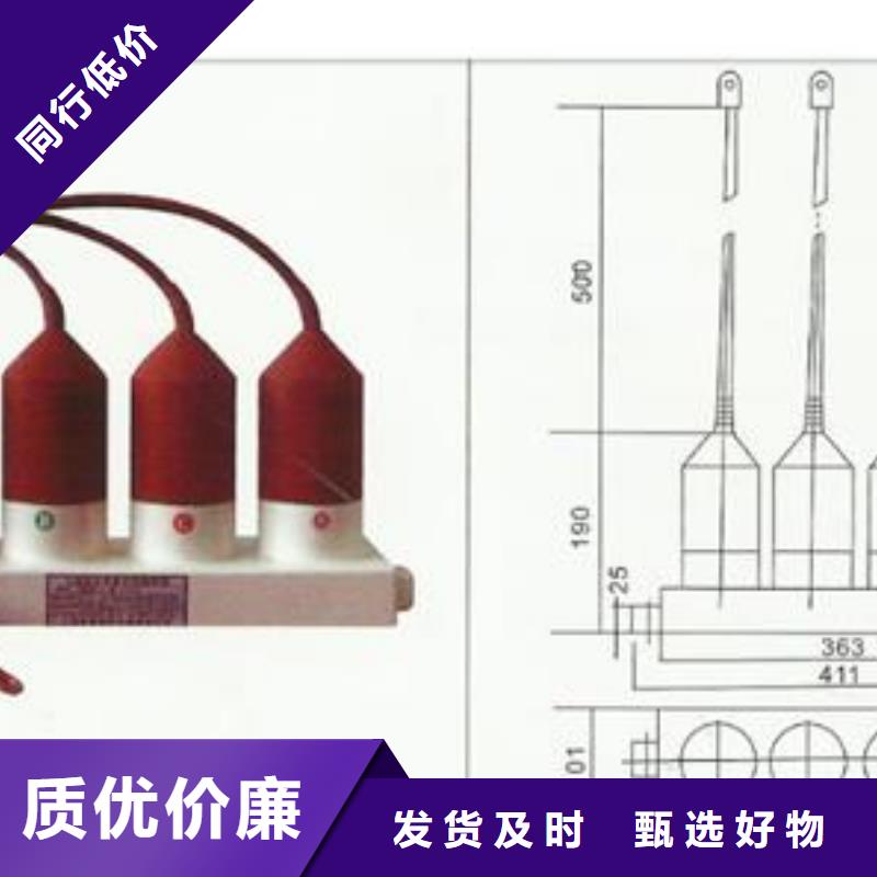 TBP-C-42F/400W三相组合式过电压保护器樊高电气