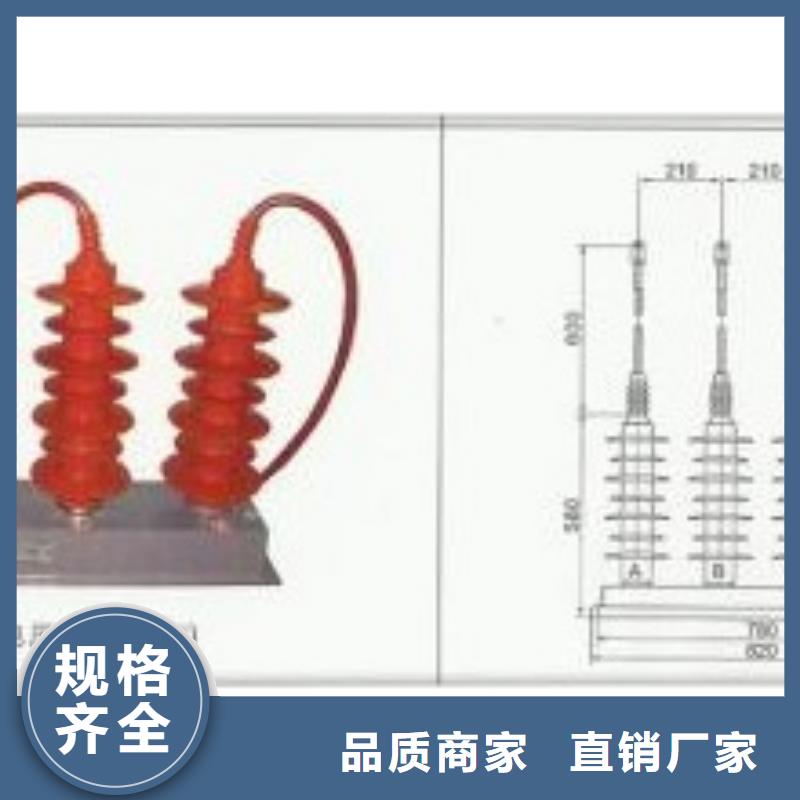 TBP-B-42F/200三相组合式避雷器