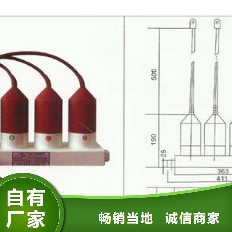 过电压保护器,高低压电器团队厂家直销直供