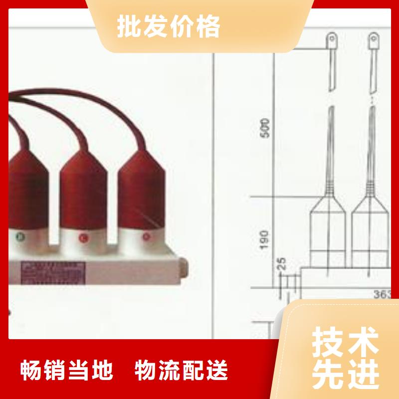 TBP-B-12.7F/85-J三相组合式氧化锌避雷器