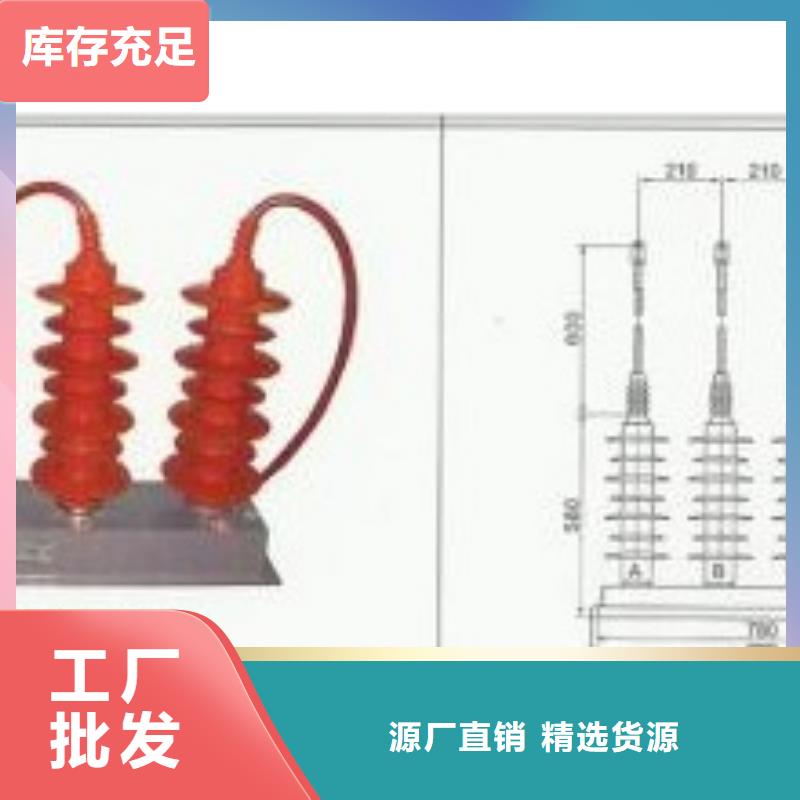 TBP-C-7.6F/150串联间隙过电压保护器