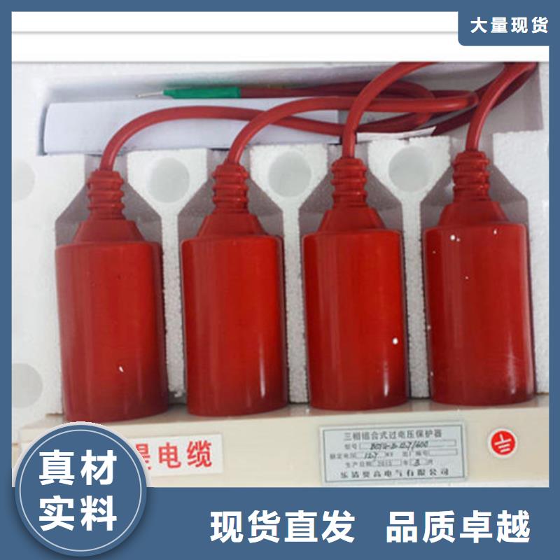 TBP-O-7.6F组合式保护器