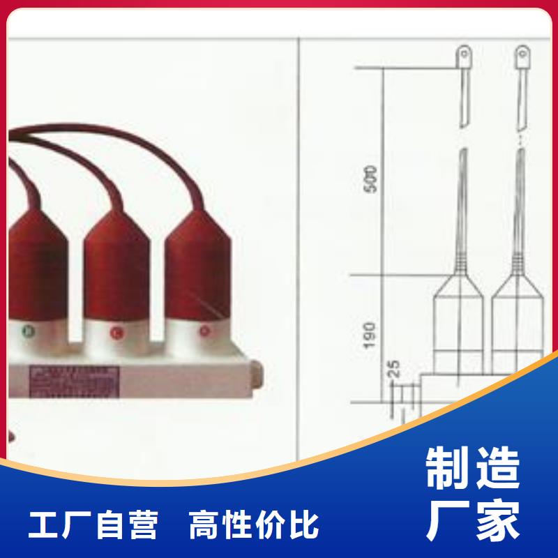 TBP-B-7.6F/85过电压保护器