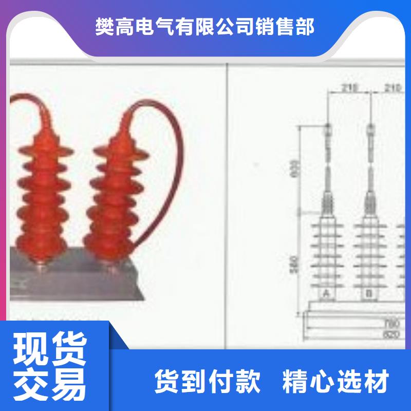 TBP-C-7.6F/150串联间隙过电压保护器