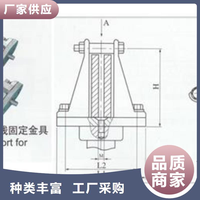 TMY-120*10高压母线樊高