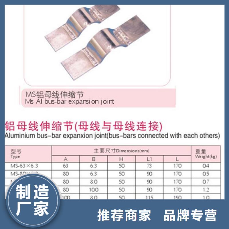 MRJ-6/200母线固定金具樊高