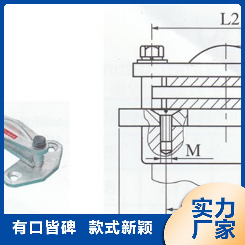 TMY-4*50母线樊高