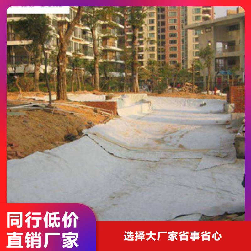 【膨润土防水毯玻纤土工格栅现货满足大量采购】