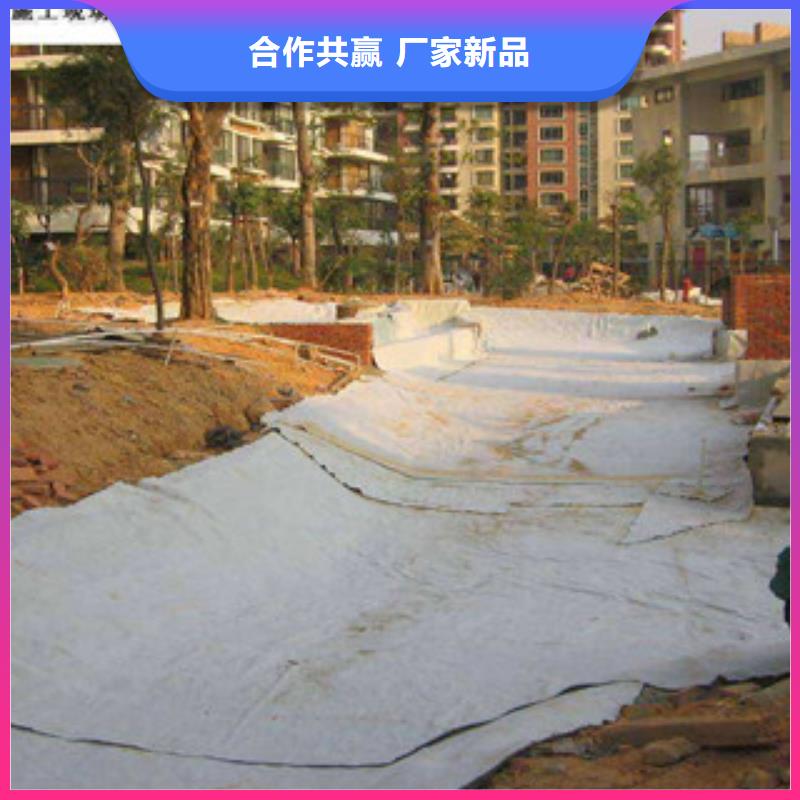 膨润土防水毯塑料土工格栅标准工艺