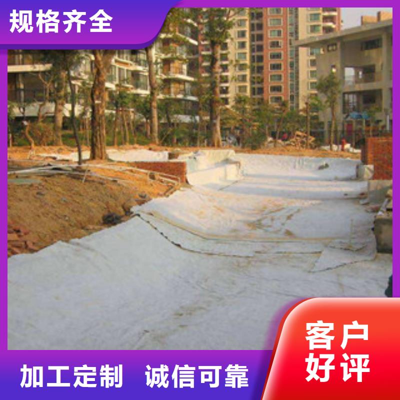 膨润土防水毯玻纤土工格栅敢与同行比价格