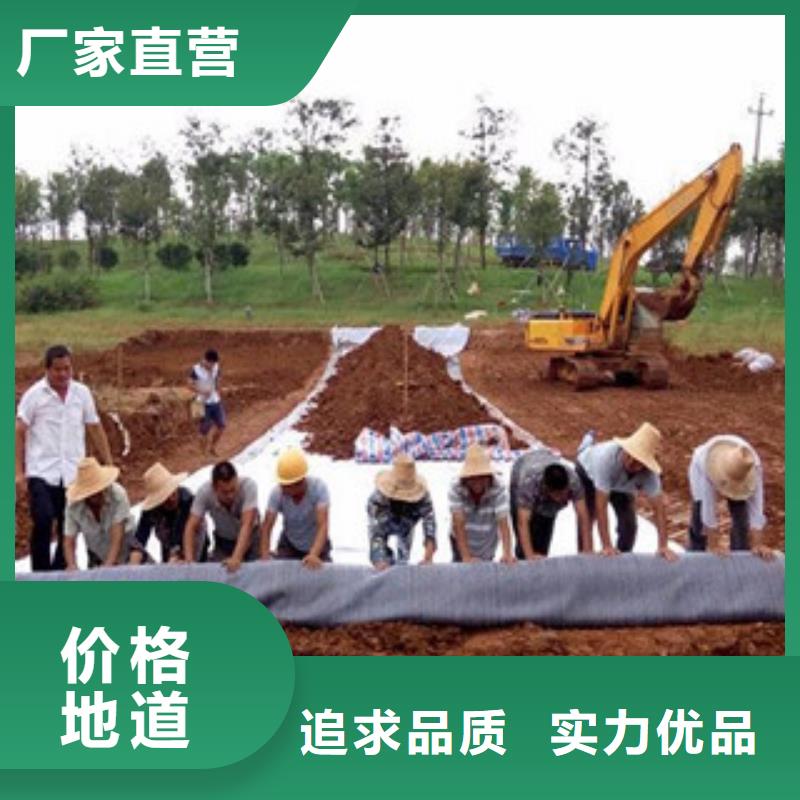 【膨润土防水毯】钢塑土工格栅用途广泛