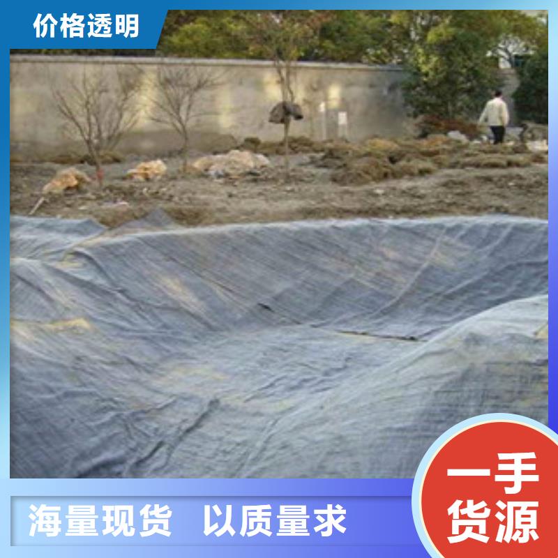 膨润土防水毯钢塑土工格栅专业生产团队