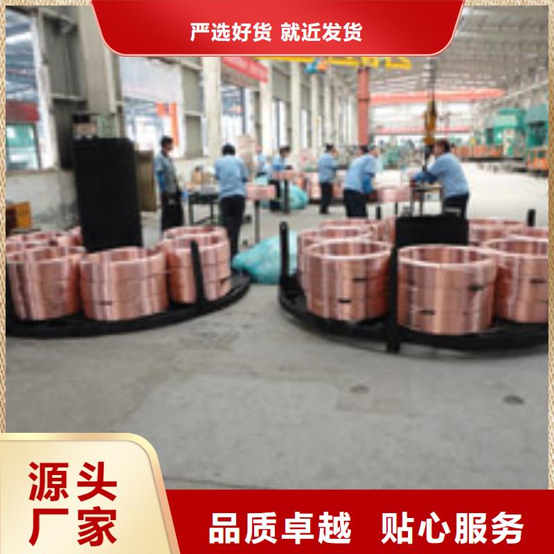 销售《PVC包塑铜管8*1》-辰昌盛通金属材料有限公司