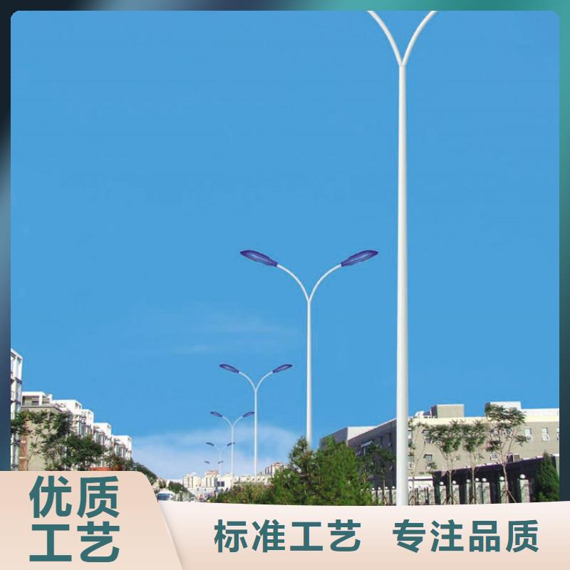 太阳能市电-路灯价格服务周到