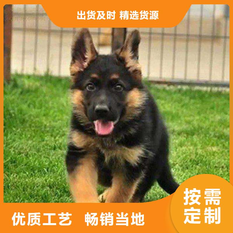 【德国牧羊犬-罗威纳犬多种优势放心选择】