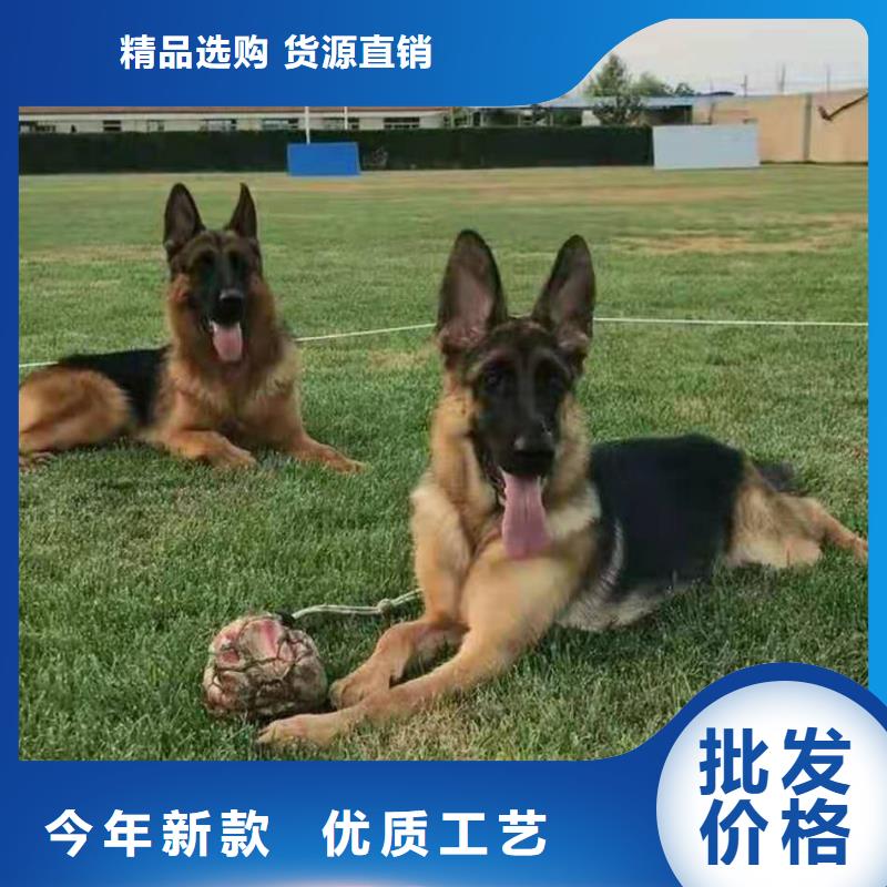 【德国牧羊犬_杜高犬量大从优】