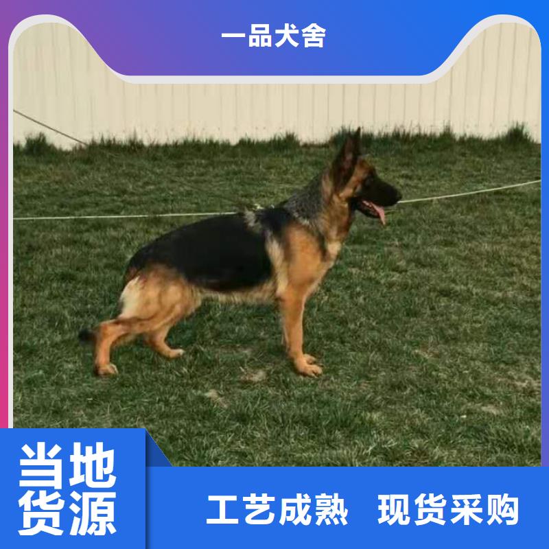 德国牧羊犬-罗威纳犬好品质经得住考验