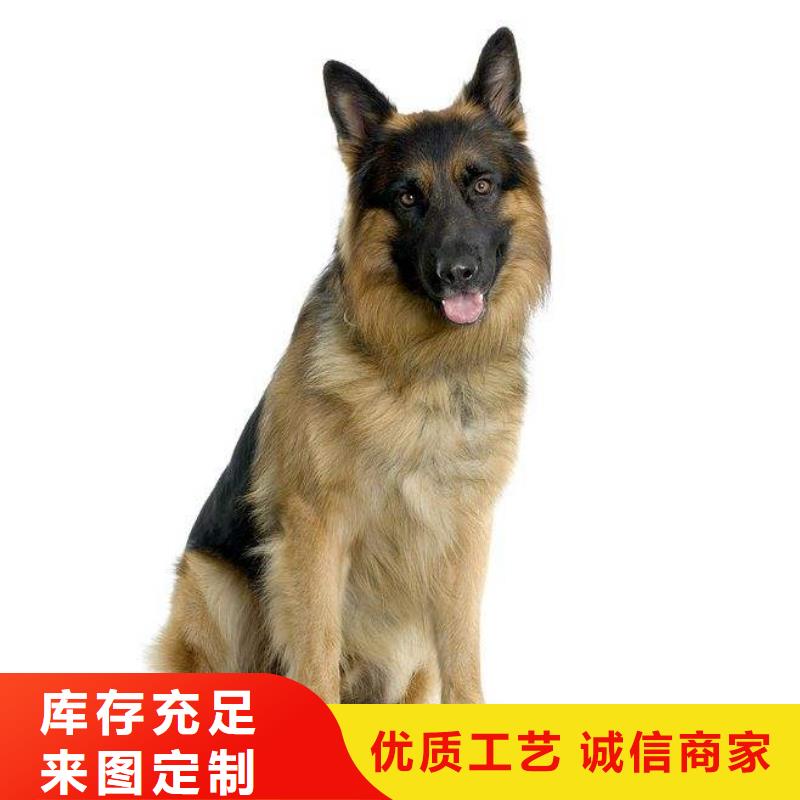 【德国牧羊犬_杜高犬量大从优】