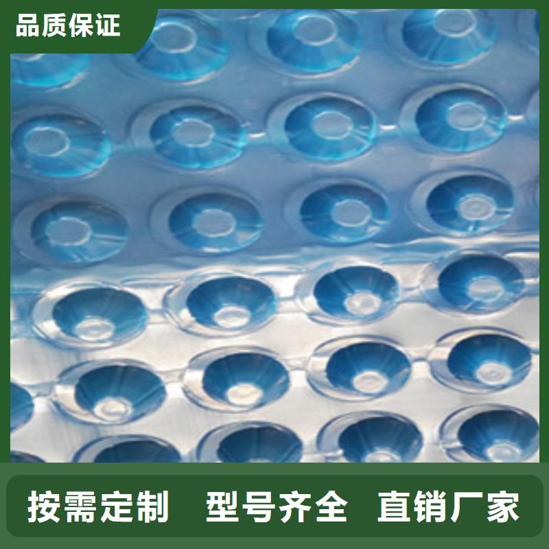 塑料排水板-土工布厂家产地直供