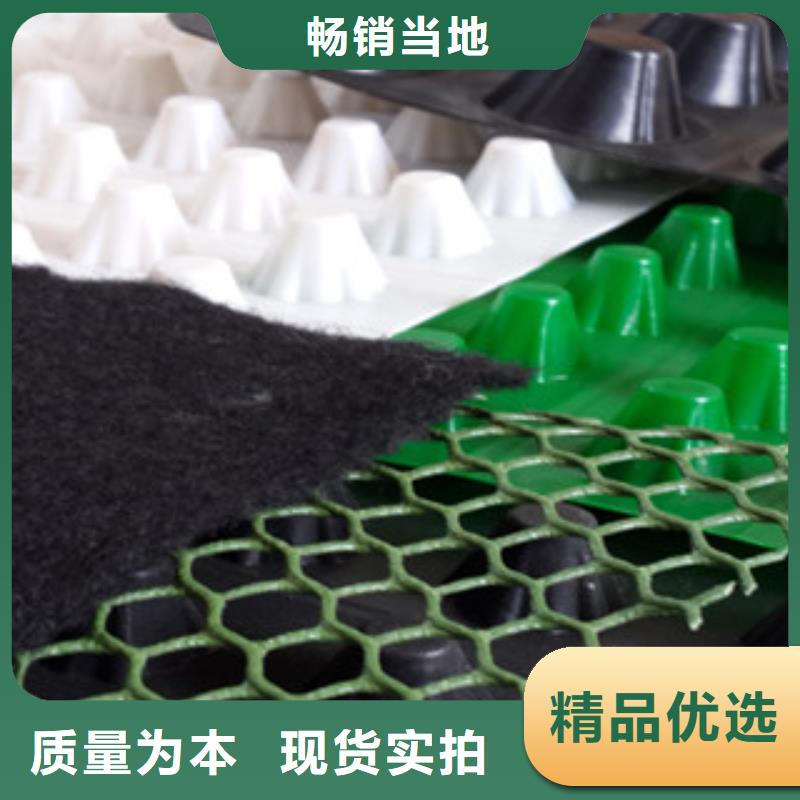 塑料排水板-排水板厂家货源稳定