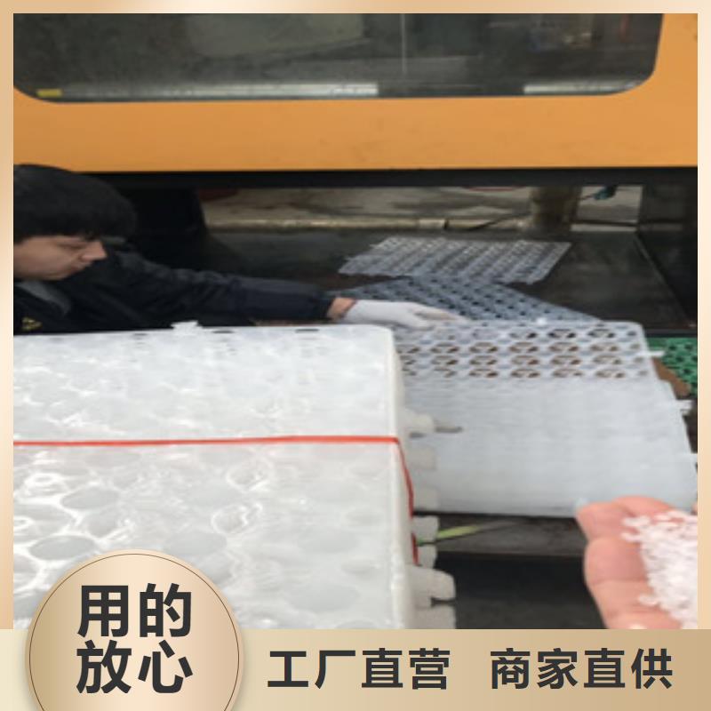 蓄排水板蓄排水板厂家好品质经得住考验