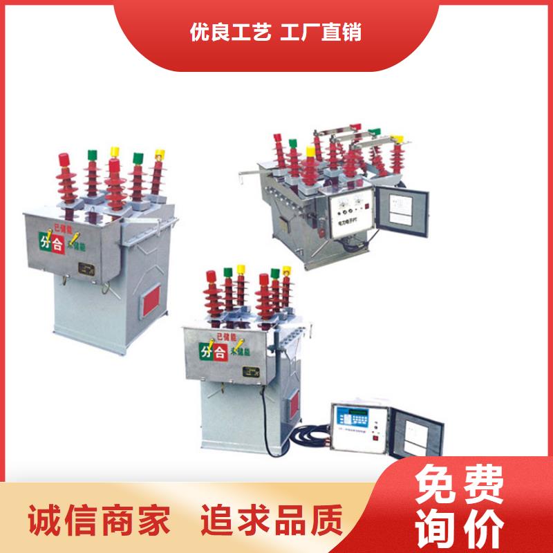 金昌ZWM9-12永磁真空断路器真空断路器樊高电气