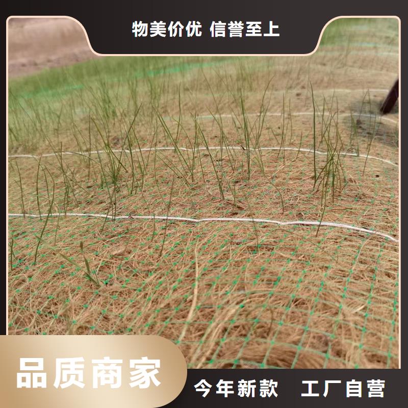 鑫海2.5*40m矿山植草毯实力专注品质铁路公路植生毯